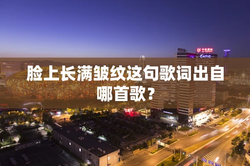 脸上长满皱纹这句歌词出自哪首歌？