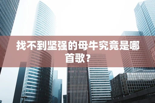 找不到坚强的母牛究竟是哪首歌？