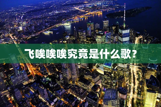 飞唉唉唉究竟是什么歌？