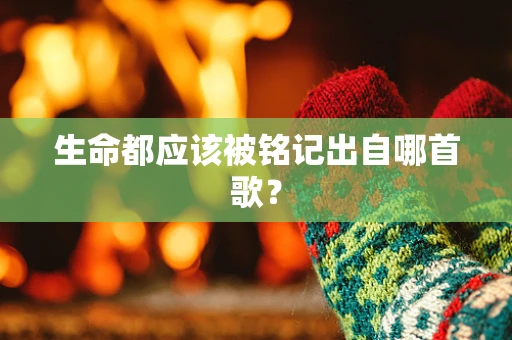 生命都应该被铭记出自哪首歌？