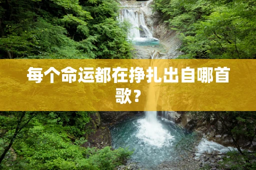 每个命运都在挣扎出自哪首歌？