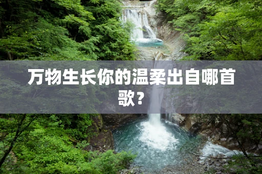 万物生长你的温柔出自哪首歌？