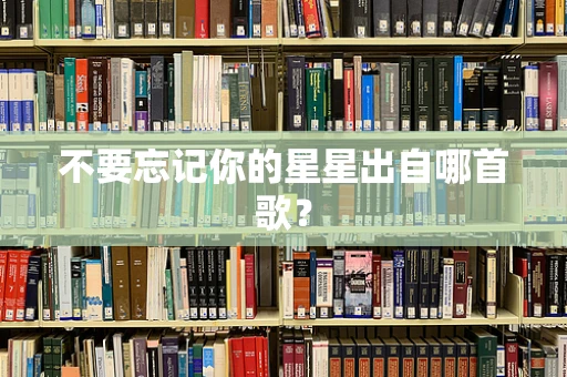 不要忘记你的星星出自哪首歌？