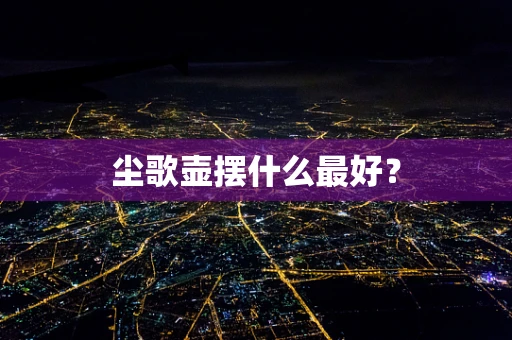 尘歌壶摆什么最好？