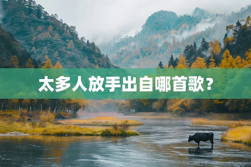 太多人放手出自哪首歌？