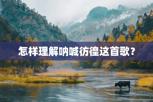 怎样理解呐喊彷徨这首歌？