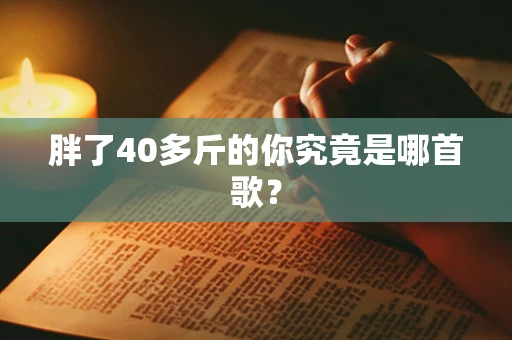 胖了40多斤的你究竟是哪首歌？