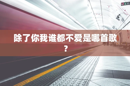 除了你我谁都不爱是哪首歌？