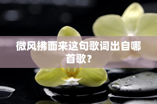 微风拂面来这句歌词出自哪首歌？