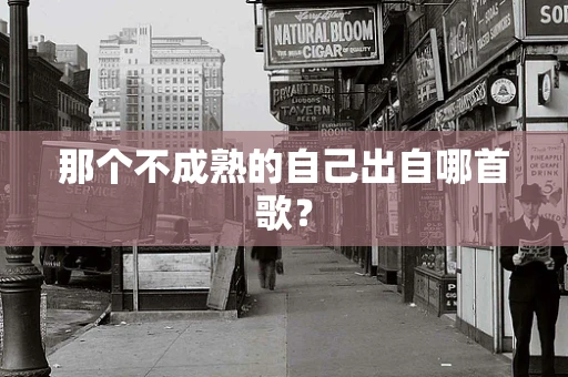 那个不成熟的自己出自哪首歌？