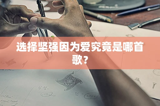 选择坚强因为爱究竟是哪首歌？