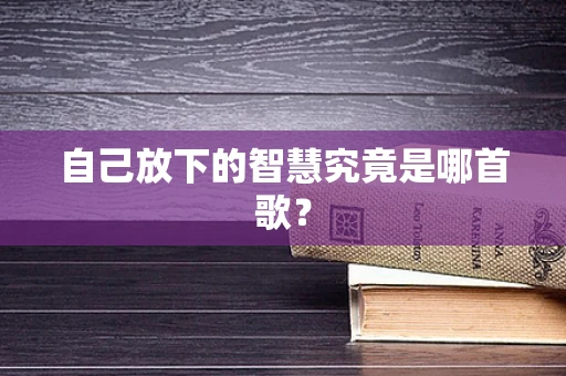 自己放下的智慧究竟是哪首歌？