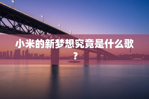 小米的新梦想究竟是什么歌？