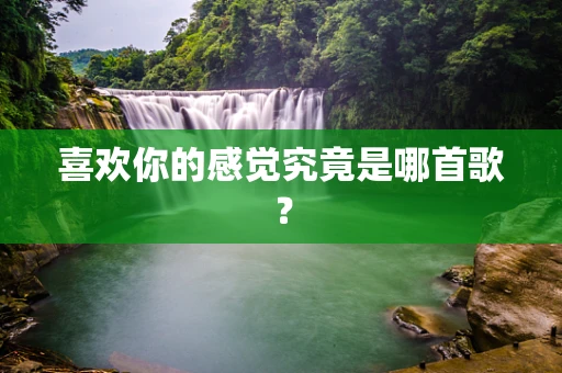 喜欢你的感觉究竟是哪首歌？
