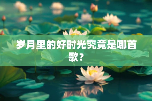 岁月里的好时光究竟是哪首歌？
