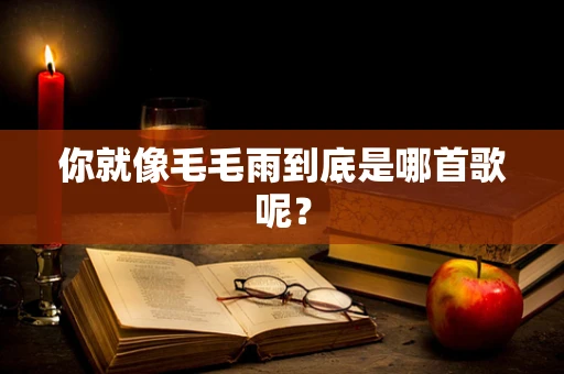 你就像毛毛雨到底是哪首歌呢？