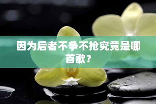 因为后者不争不抢究竟是哪首歌？