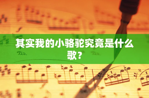 其实我的小骆驼究竟是什么歌？