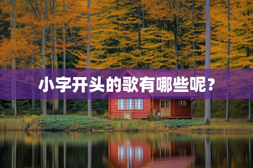 小字开头的歌有哪些呢？
