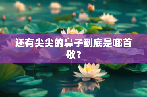 还有尖尖的鼻子到底是哪首歌？