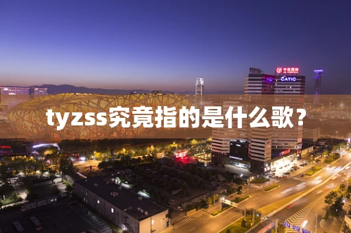 tyzss究竟指的是什么歌？