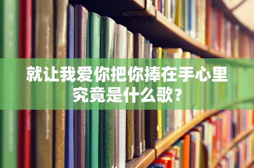 就让我爱你把你捧在手心里究竟是什么歌？
