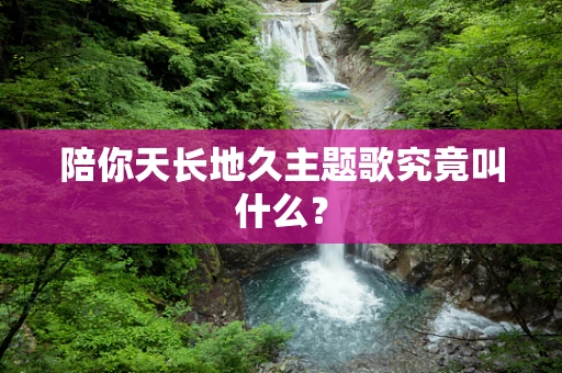 陪你天长地久主题歌究竟叫什么？