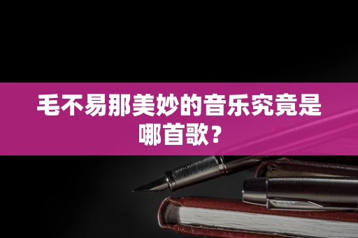 毛不易那美妙的音乐究竟是哪首歌？