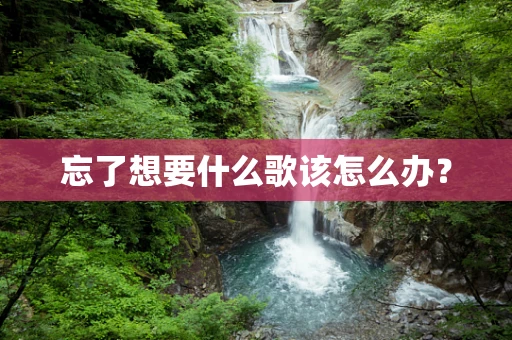 忘了想要什么歌该怎么办？