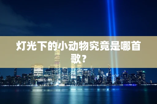 灯光下的小动物究竟是哪首歌？