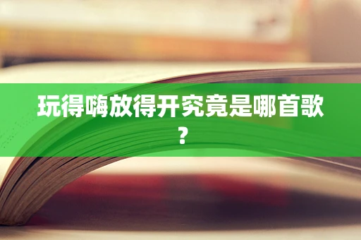 玩得嗨放得开究竟是哪首歌？