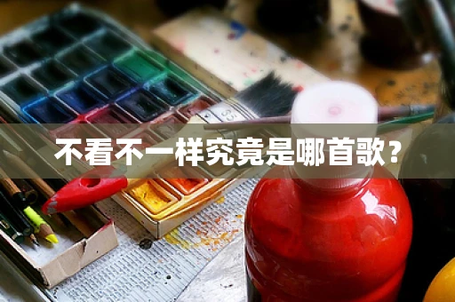 不看不一样究竟是哪首歌？