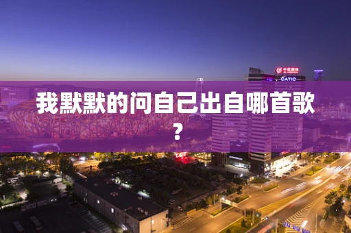 我默默的问自己出自哪首歌？