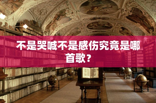 不是哭喊不是感伤究竟是哪首歌？