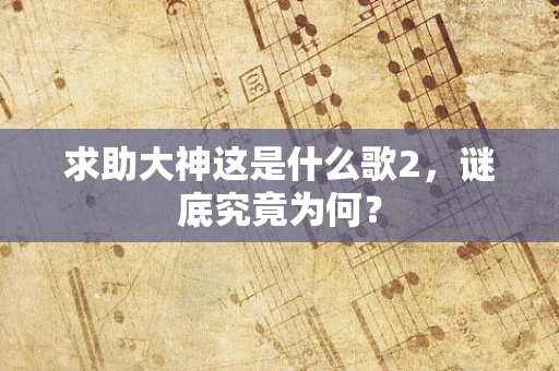 求助大神这是什么歌2，谜底究竟为何？