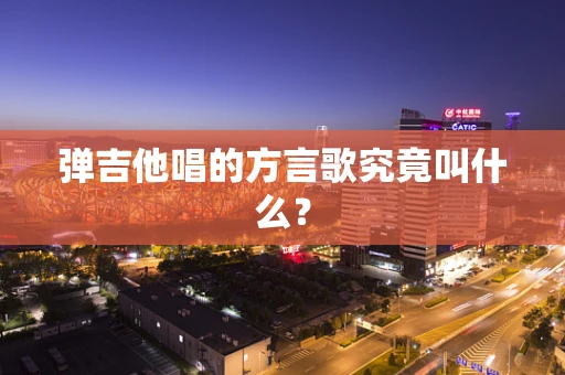 弹吉他唱的方言歌究竟叫什么？