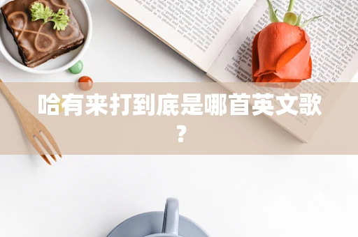 哈有来打到底是哪首英文歌？