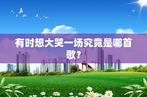 有时想大哭一场究竟是哪首歌？