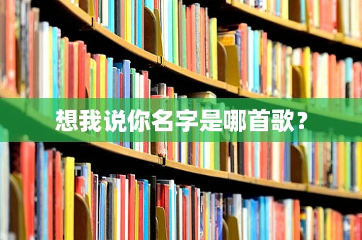 想我说你名字是哪首歌？