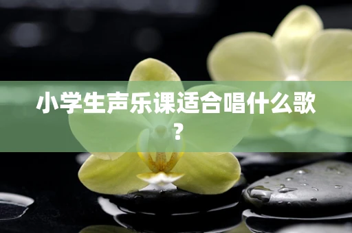小学生声乐课适合唱什么歌？