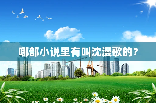 哪部小说里有叫沈漫歌的？