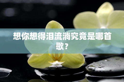 想你想得泪流淌究竟是哪首歌？