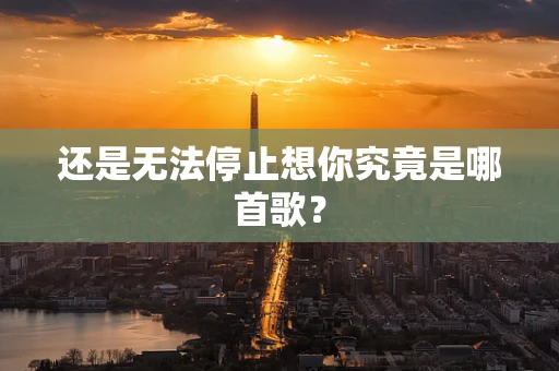 还是无法停止想你究竟是哪首歌？
