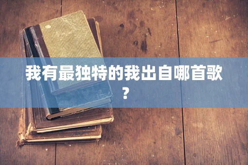 我有最独特的我出自哪首歌？