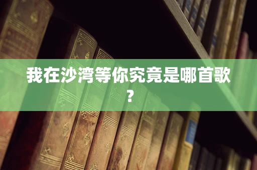 我在沙湾等你究竟是哪首歌？