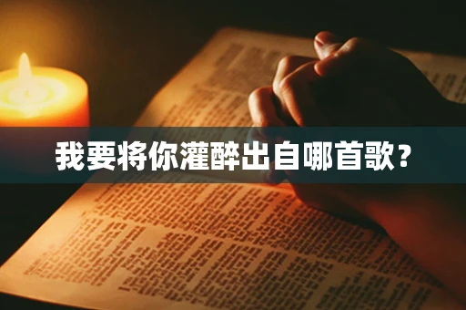 我要将你灌醉出自哪首歌？