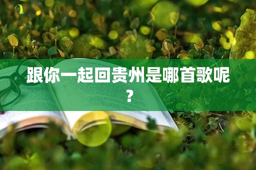 跟你一起回贵州是哪首歌呢？