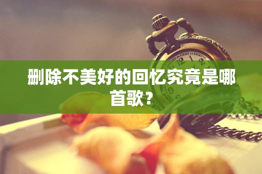 删除不美好的回忆究竟是哪首歌？