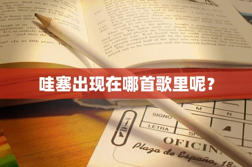 哇塞出现在哪首歌里呢？