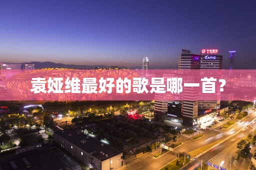 袁娅维最好的歌是哪一首？